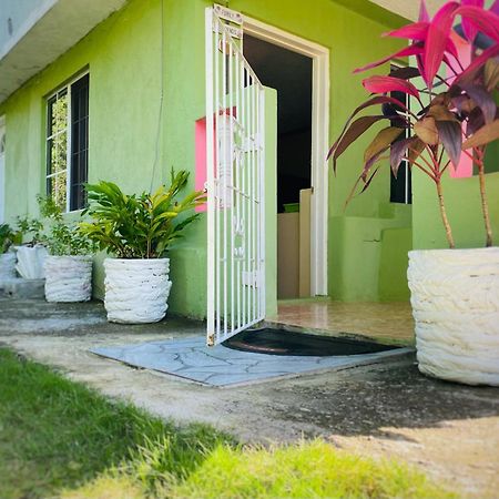 Cindy'S Garden Stay Очо Риос Екстериор снимка